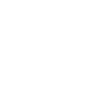 IGOR_logo