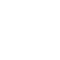 IGOR_logo